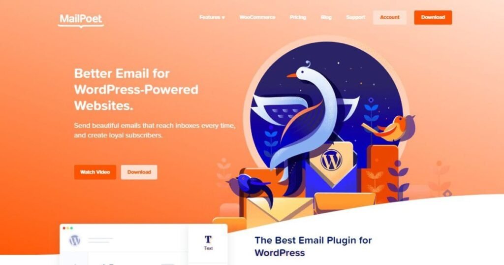 Mailpoet - Must-have plugins for WordPress News websites