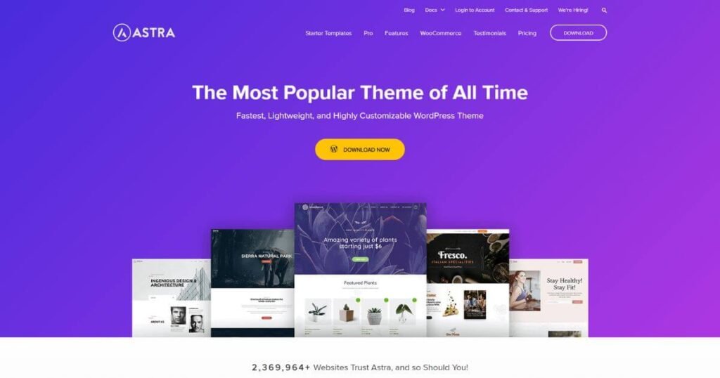 Astra is a lightweight, customizable, and fast WordPress Theme that can be used to build a wide range of websites including news websites, blogs, and business websites.