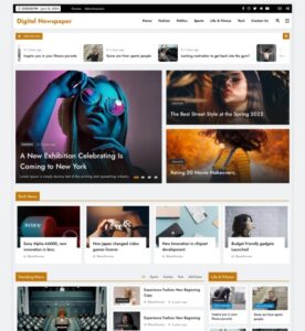 Digital Newspaper WordPress Theme | 5k+ active installations